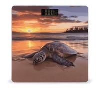 Sea Turtle Sunset Scale for Body Weight Bathroom Weighing Scale with Large LCD Backlight Display Weight with High Precision Measures Weight Up to 180kg