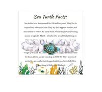 Sea Turtle Tracking Bracelet Supports the Sea Turtle Conservancy 8mm Turquoise Natutal Stone Elastic Stretch Bracelet for Women Men Girls, Nylon, no gemstone