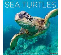 Sea Turtles 2026 Wall Calendar