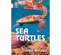 Sea Turtles Band 10White Collins Big Cat