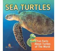 Sea Turtles: Fun Facts About Turtles of The World
