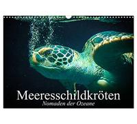 Sea turtles. Nomads of the oceans UK-Version (Wall Calendar 2026 DIN A3 Landscape), CALVENDO 12 Month Wall Calendar