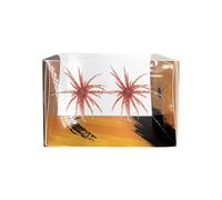 Sea Urchin Bait - Floating Soft Sea Urchin Worm 2 Pcs Realistic Floating Soft Silicone Rig | Dice Bait | for Freshwater Water River Lake Stream