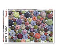 Sea Urchins 1000 Piece Jigsaw Puzzle - Colourful & Intricate Ocean-Themed Puzzle - Challenging & Fun for Adults & Teens