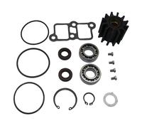 Sea Water Pump Major kit for Yanmar 6LP series Engine 119773-42652 for Johnson 10-24493