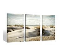 Sea Whisper Beach Coastal Canvas Wall Art: Bathroom Seaside Artwork Ocean Seascape Picture Print on Three Pieces Painting for Room Decor(16x26)