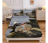 Seabirds Super King Fitted Sheet Seabirds Pattern Fitted Sheet - Deep Pocket 30cm Soft Microfibre Fabric - Shrinkage and Fade Resistant Bedding - Bottom Sheet sd1400
