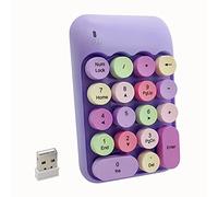 Seaciyan Wireless Number Pad, Ergonomic Cute Colorful Retro Mini Portable Numeric Keypad, 2.4G Cordless External Keyboard for Computer, Laptop (Purple)