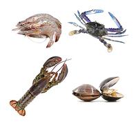 Seafood Boil Box 1 - 4.2kg Premium Mix with Lobster, Blue Crabs, Shrimp & Clams - Ready to Cook Frozen Seafood Feast - Restaurant Quality Shellfish Box for Home Dining & Parties