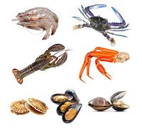 Seafood Boil Box 4 | 7 Premium Ingredients | Lobster, Blue Crabs, Shrimp, Clams, Scallops, Mussels & Snow Crabs | 6.3kg | Fresh Frozen | Luxury Seafood Feast for Home Dining & Parties