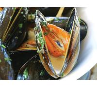 Seafood-From Market to Plate