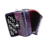 SEAFRONT Chromatic Button Accordion 62 Key 60 Bass FBE Tuning for Beginners Professionals with Padded Bag and Noise Suppression