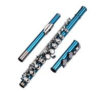 SEAFRONT Closed Hole 16 Keys C Flute Cupronickel Material with Carry Case, Purple Exquisite Design Flute for Performance and Daily Practice Includes Gloves and Mini Screwdrivers (Blue Green)