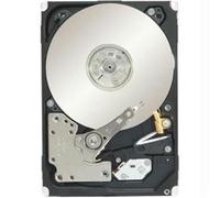 Seagate 1TB 64MB 7200RPM SATA 6Gb/s Constellation.2, ST91000640NS (Constellation.2)