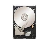 Seagate 2TB Internal Hard Drive - 3.5 Inch SATA 3Gb/s 7200RPM - Constellation ES ST32000644NS