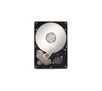 Seagate 500GB 7200RPM Sata-enterprise - ST3500320NS