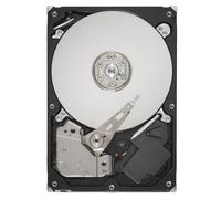 Seagate ST31000528AS 1TB (SATA, 7200 RPM, Internal 3.5)