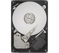 Seagate Barracuda ES 1 TB 7200RPM SAS 3Gb/s 16 MB Cache 3.5 Inch Internal Hard Drive (ST31000640SS)