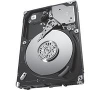 Seagate Bulk ST9146853SS Savvio 15K.3 6Gbs 146GB (ST9146853SS)