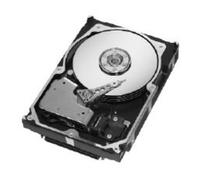 Seagate Cheetah 146.8GB HDD internal hard drive 10000 RPM 8 MB 3.5&quo