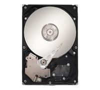 Seagate Cheetah 15K.6 300-GB 300 GB SAS