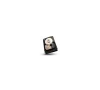 Seagate Cheetah 15K.7 450 GB SAS