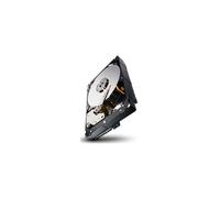 Seagate Constellation 1TB SATA 3.5" 7200rpm 6 GB/s 64MB 610g Silver/Black