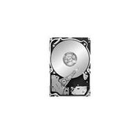 Seagate Constellation.2 ST9500620SS 500 GB Internal Hard Drive