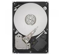 SEAGATE Constellation CS 3.5" hard drive - 2 TB (ST2000NC001)