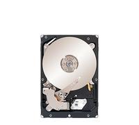 Seagate Constellation ES 1TB 7200 SAS