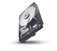 Seagate Constellation ES 1TB internal hard drive 7200 RPM 16 MB 3.5&qu