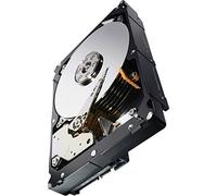 Seagate Constellation ES.3 3TB 3000 GB SAS Internal Hard Drive