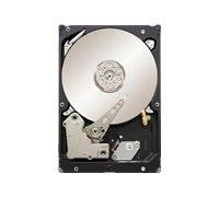 Seagate Constellation ES 7200.1 500GB Internal Hard Drive 8.9 cm (3.5 Inches) 7200 RPM 16 MB Cache/SAS 2.0 6Gb/s - Black