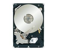 Seagate Constellation ES 7200 2TB Internal Hard Drive / 8.9 cm / 3.5 Inches / 7200 rpm / 64MB Cache/SAS 2.0 6Gb/s/Black