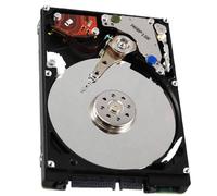Seagate Momentus 5400 160GB 5400RPM SATA 3Gb/s 8MB Cache 2.5 Inch Internal NB Hard Drive ST9160314AS-Bare Drive