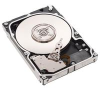 Seagate Savvio 15K.2 2.5 inch Hard Drive 73GB SAS 15000rpm 16MB (Internal)