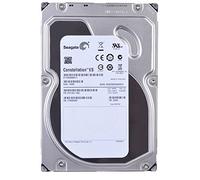 Seagate ST1000NM0011 3.5 inch 1TB Hard Drive (Serial-ATA, 6Gb/s, 64Mb, 7200RPM)