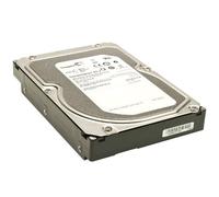 Seagate ST31000424SS