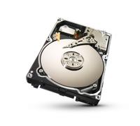 Seagate ST9250610NS - 250GB 64MB 7200RPM SATA 6Gb/s - Constellation.2 - Warranty: 3Y