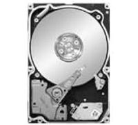 Seagate ST9250610NS CONSTELLATION.2
