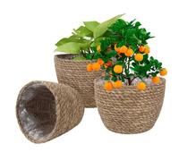 Seagrass Plant Basket - Stylish Plant Baskets for Indoor and Outdoor Plants, 3 Pieces Woven Flower Pot Holders - Perfect for Flower Pots and Room Decoration