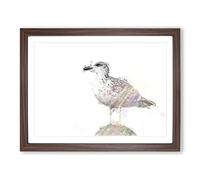 Seagull Bird In The Rainbow In Abstract Modern Art Framed Wall Art Print, Ready to Hang Picture for Living Room Bedroom Home Office Décor, Walnut A2 (64 x 46 cm)