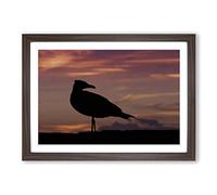 Seagull Bird Purple Sunset (2) Framed Print | A2 Walnut Framed Wall Art | Ready to Hang | Modern Animal Picture | Living Room Bedroom Lounge Office