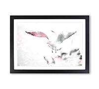 Seagull Birds in The Light Painting Framed Print | A2 Black Framed Wall Art | Ready to Hang | Modern Animal Picture | Living Room Bedroom Lounge Office