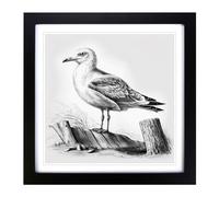Seagull Drawing Framed Print | 18x18 Inch Black Framed Wall Art | Ready to Hang | Modern Animal Picture | Living Room Bedroom Lounge Office