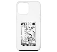 Seagull on skull - Pfeiffer Beach Case for iPhone 12 Pro Max