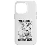Seagull on skull - Pfeiffer Beach Case for iPhone 14 Pro Max