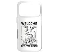 Seagull on skull - Pfeiffer Beach Case for iPhone 17 Pro