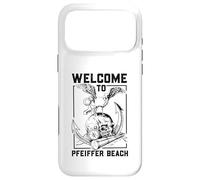 Seagull on skull - Pfeiffer Beach Case for iPhone 17 Pro Max