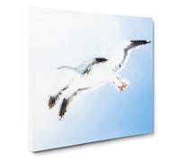 Seagulls in Flight Canvas Print | Gallery Wrapped 30mm Frame Wall Art | 14x14 inches | Ready to Hang | Abstract Bird Picture | Living Room Bedroom Lounge Office